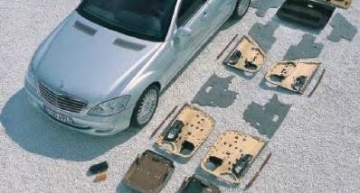 Cáñamo Industrial: El Porcino de los Cultivos&nbsp;III